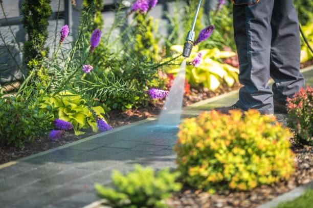 Best Gutter Cleaning  in Mount Ivy, NY